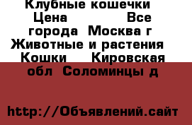 Клубные кошечки › Цена ­ 10 000 - Все города, Москва г. Животные и растения » Кошки   . Кировская обл.,Соломинцы д.